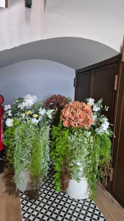 La Fabbrica del Mediterraneo Apartments, Denia-35 La Fabbrica Del Mediterraneo Apartments Denia 35